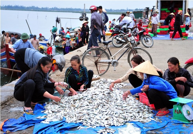 Hà Tĩnh: Lộc biển đầu năm - ảnh 1
