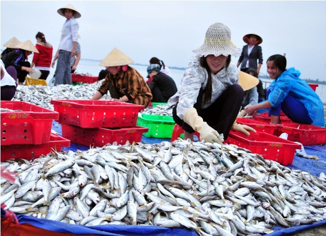 Hà Tĩnh: Lộc biển đầu năm - ảnh 7