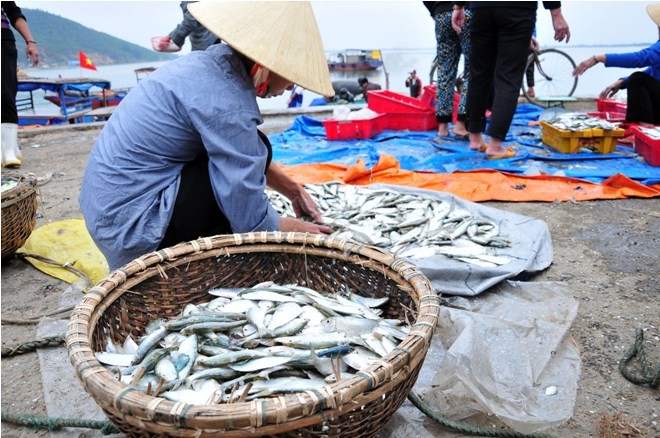 Hà Tĩnh: Lộc biển đầu năm - ảnh 8