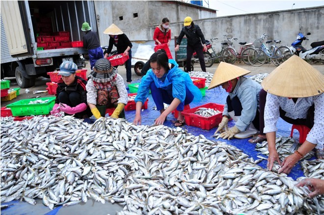 Hà Tĩnh: Lộc biển đầu năm - ảnh 9