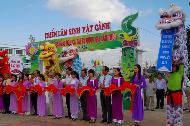 Trưng bày hơn 1.000 tác phẩm sinh vật cảnh ở Festival Bạc Liêu - ảnh 1
