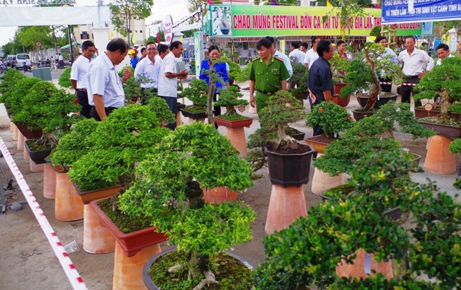 Trưng bày hơn 1.000 tác phẩm sinh vật cảnh ở Festival Bạc Liêu - ảnh 2