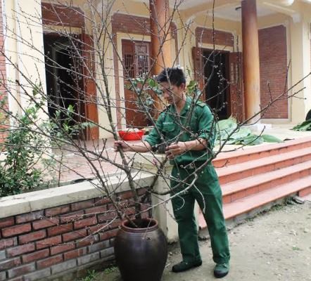 Gói bánh chưng dâng cúng Đại tướng tại Vũng Chùa - Đảo Yến - ảnh 2