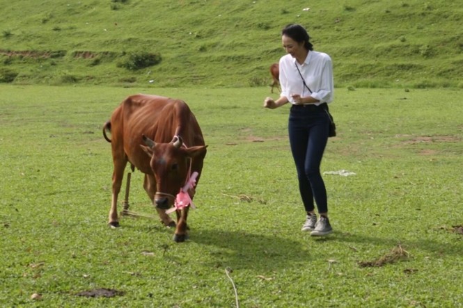 phạm thủy tiên - ảnh 5