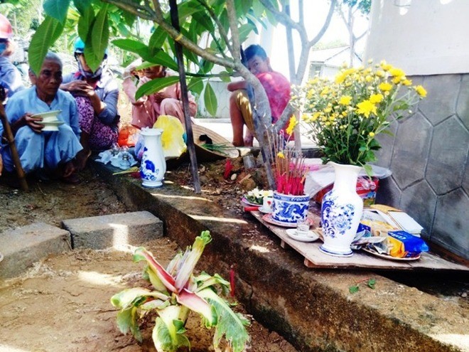 Đổ xô khấn vái cây chuối “tái sinh” trổ liền 6 bắp hoa - ảnh 1