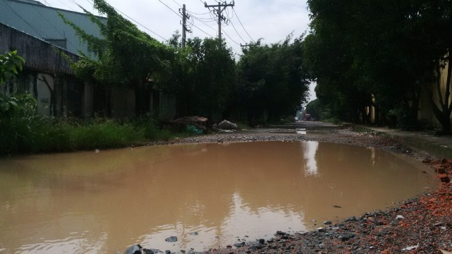 Sau mưa, “ao cá” xuất hiện trên đường phố Sài Gòn - ảnh 1
