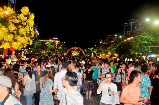 đường hoa nguyễn huệ - ảnh 5