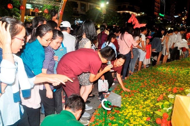 đường hoa nguyễn huệ - ảnh 7