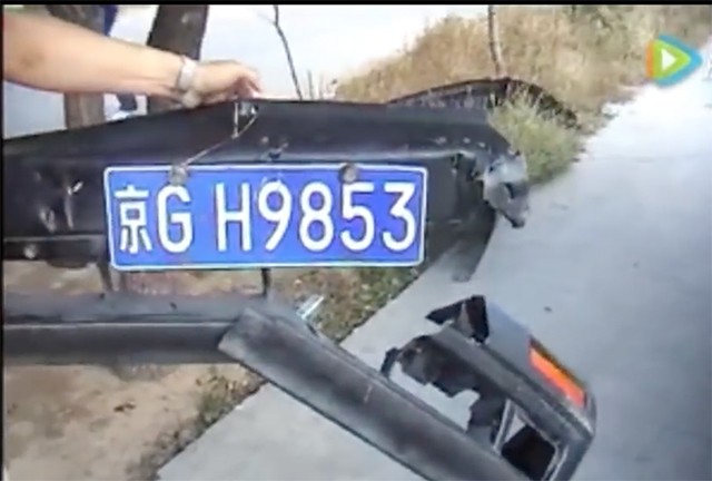 Hổ 'nổi điên' giật mui ô tô chở khách tham quan công viên - ảnh 2