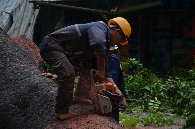 Cổ thụ bật gốc đè 3 ngôi nhà, người dân tán loạn bỏ chạy - ảnh 1