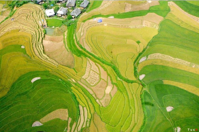 mù căng chải từ trên cao - ảnh 5