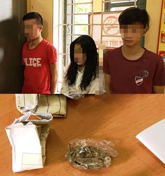 Nhóm thanh niên bỏ nhà lang thang bán “cỏ Mỹ” - ảnh 1