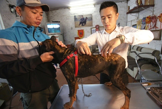 Trại chó doberman tiền tỷ của chàng trai 8x - ảnh 5