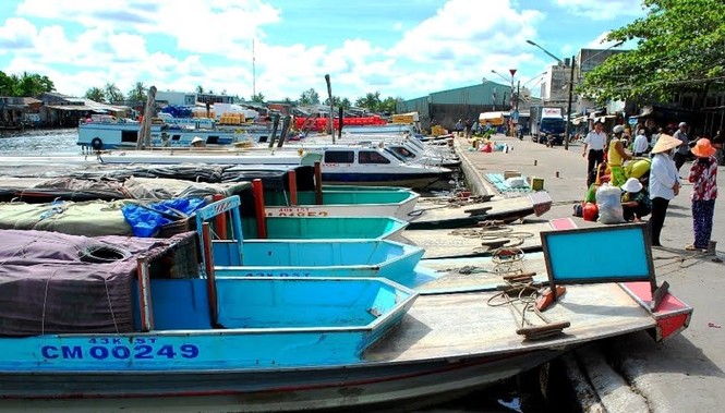 Cà Mau huy động xe, tàu dịp Tết 2017 - ảnh 1