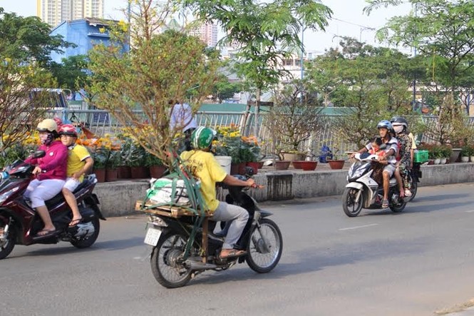 Đìu hiu chợ hoa tết trên sông lâu đời nhất Sài Gòn - ảnh 3