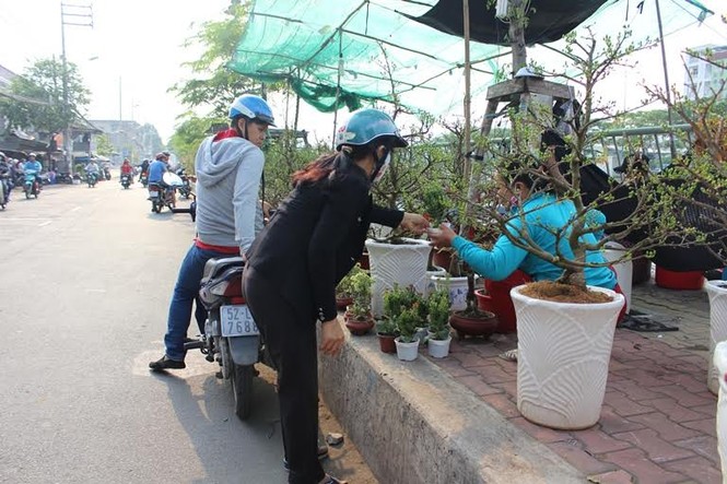 Đìu hiu chợ hoa tết trên sông lâu đời nhất Sài Gòn - ảnh 4