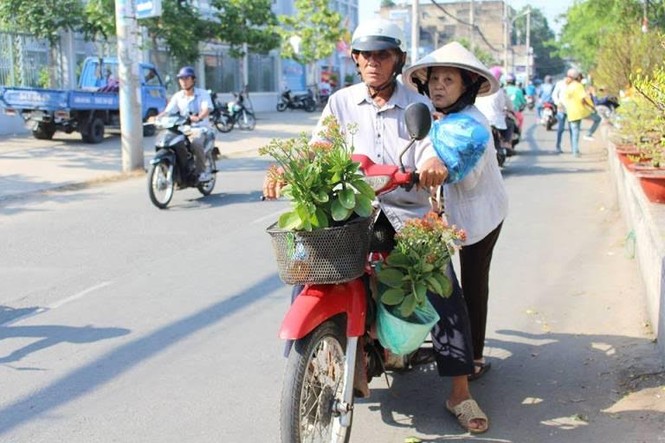 Đìu hiu chợ hoa tết trên sông lâu đời nhất Sài Gòn - ảnh 8