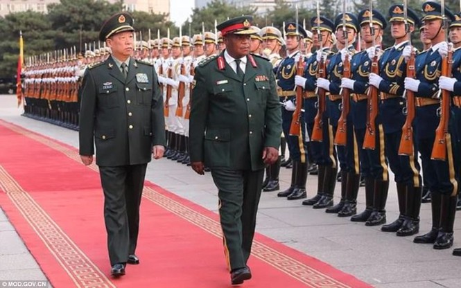 Phu nhân Tổng thống Zimbabwe bị giam lỏng cùng chồng? - ảnh 2
