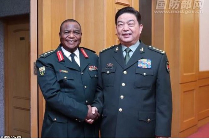 Phu nhân Tổng thống Zimbabwe bị giam lỏng cùng chồng? - ảnh 1