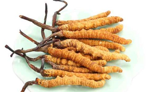 Những món quà Tết bạc tỷ được nhà giàu Việt săn lùng - ảnh 2