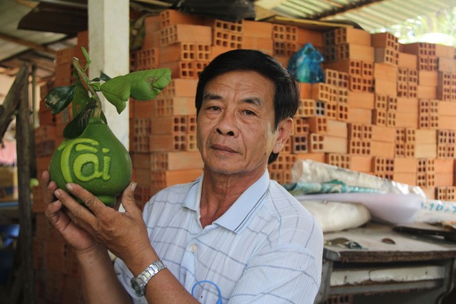 Nhìn gần cặp bưởi hồ lô chơi Tết giá gần 2,5 triệu đồng - ảnh 10