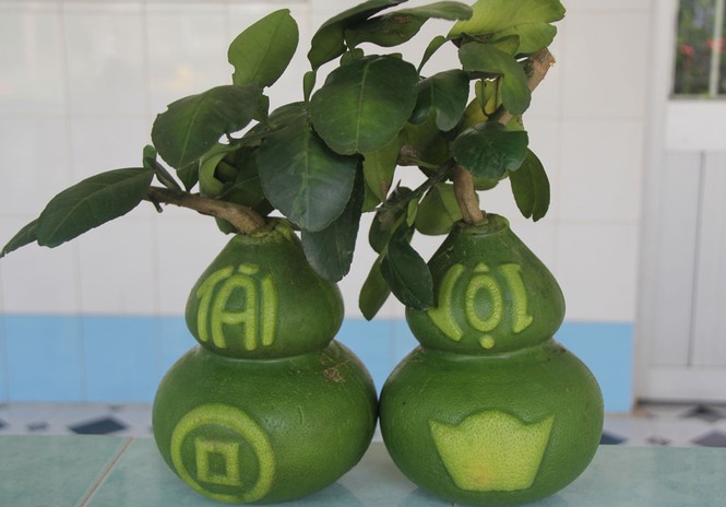 Nhìn gần cặp bưởi hồ lô chơi Tết giá gần 2,5 triệu đồng - ảnh 11