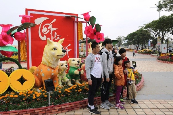 Ngắm mặt trời quay theo gió tại đường hoa 'Xuân sắc màu' bên sông Hàn - ảnh 9
