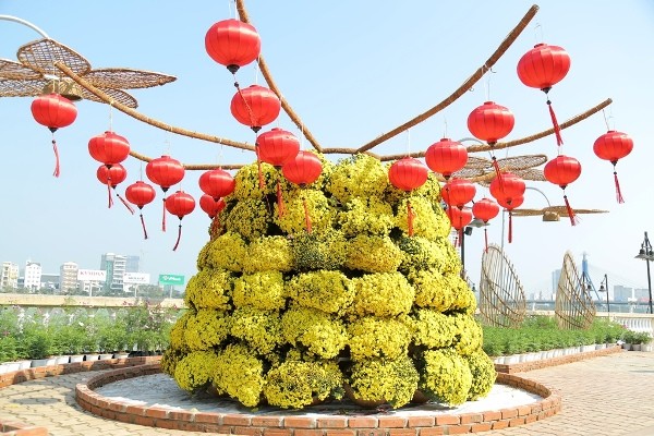 Ngắm mặt trời quay theo gió tại đường hoa 'Xuân sắc màu' bên sông Hàn - ảnh 1