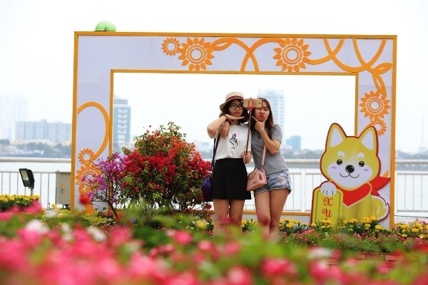 Ngắm mặt trời quay theo gió tại đường hoa 'Xuân sắc màu' bên sông Hàn - ảnh 6