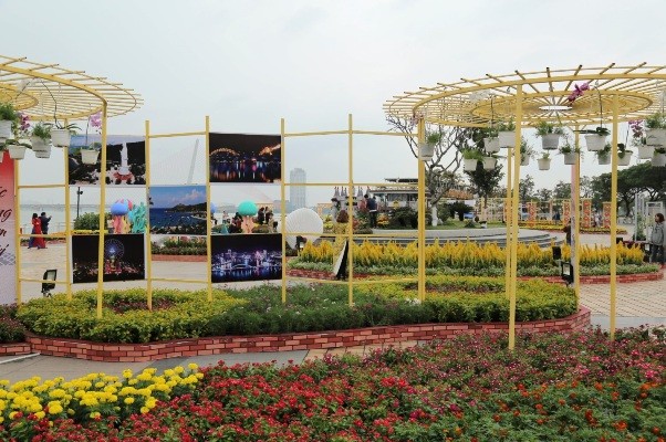 Ngắm mặt trời quay theo gió tại đường hoa 'Xuân sắc màu' bên sông Hàn - ảnh 8
