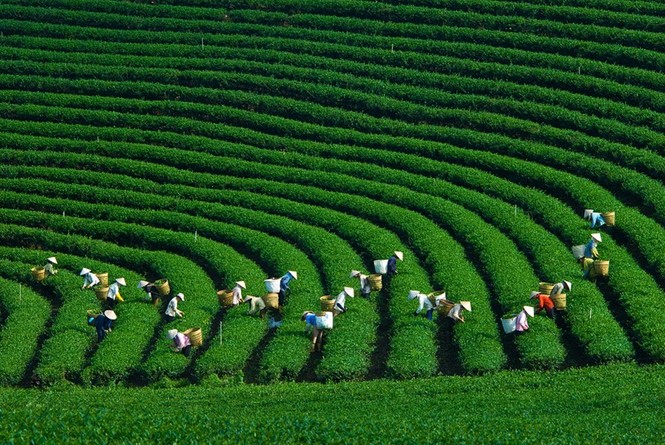 Top 8 địa điểm du lịch hấp dẫn nhất miền Bắc dịp nghỉ lễ 30/4-1/5 - ảnh 6