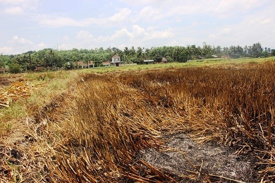 Vụ “vịt ra đồng phải... nộp phí“: Huyện vào cuộc, lập đoàn kiểm tra - ảnh 1