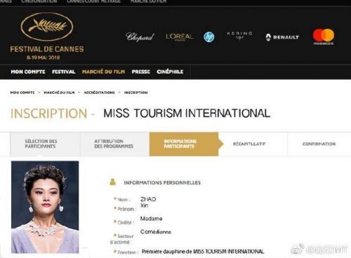 Mỹ nhân ‘hở ngực’ Trung Quốc dính phốt giả giấy mời đến Cannes - ảnh 8