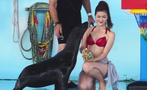 Chân dung nữ MC Việt mặc bikini dẫn chương trình gây tranh cãi - ảnh 3