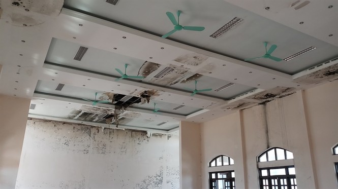 Công trình tiền tỷ bỏ hoang cho bò trú ngụ - ảnh 2