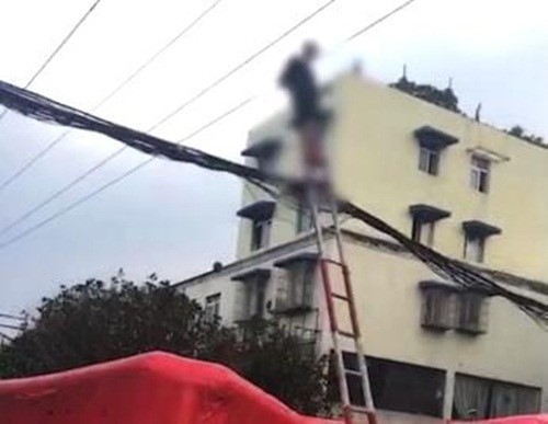 Cụ bà 70 tuổi leo thang tre, đánh đu lên dây điện - ảnh 1