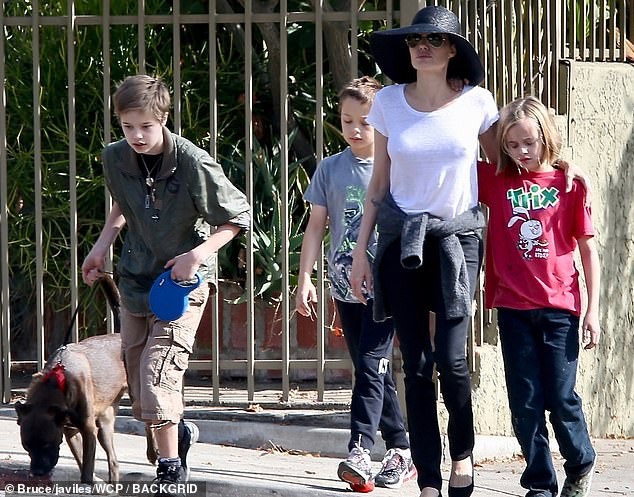 Brad Pitt: Angelina Jolie đang thao túng các con - ảnh 1