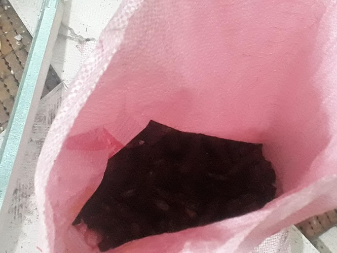 Đạn rơi như vãi thóc tại nơi xảy ra vụ nổ kinh hoàng ở Bắc Ninh - ảnh 3