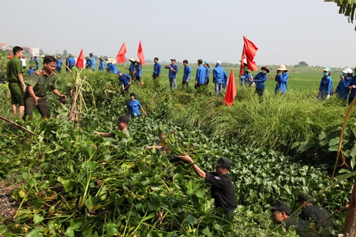 Thanh niên Bắc Ninh triển khai 'Tình nguyện tập trung 2018' - ảnh 1