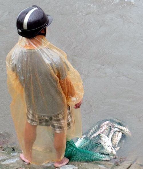Người dân Hà Nội đổ xô bắt cá trên sông sau mưa lớn - ảnh 5