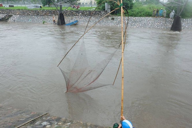Người dân Hà Nội đổ xô bắt cá trên sông sau mưa lớn - ảnh 7