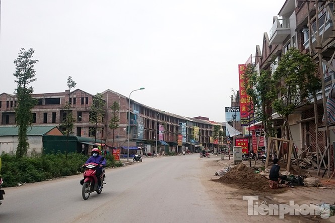 Người dân Thủ đô trồng rau trên biệt thự tiền tỷ bỏ hoang - ảnh 12