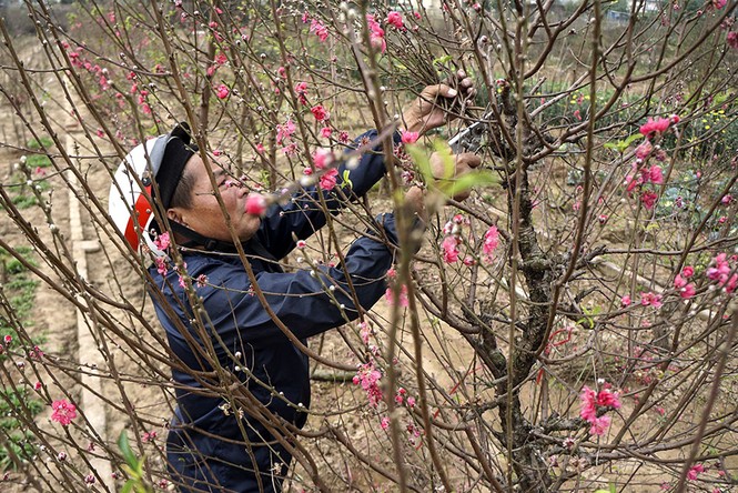 Đào Nhật Tân tấp nập ra chợ trước ngày Rằm tháng Giêng - ảnh 2