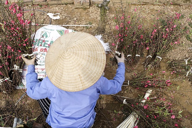 Đào Nhật Tân tấp nập ra chợ trước ngày Rằm tháng Giêng - ảnh 9