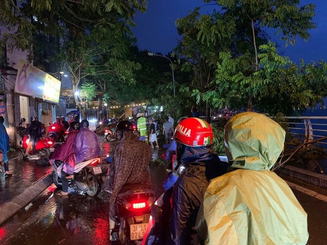 Hà Nội: Cây đổ trúng hai người đi đường lúc mưa gió - ảnh 1