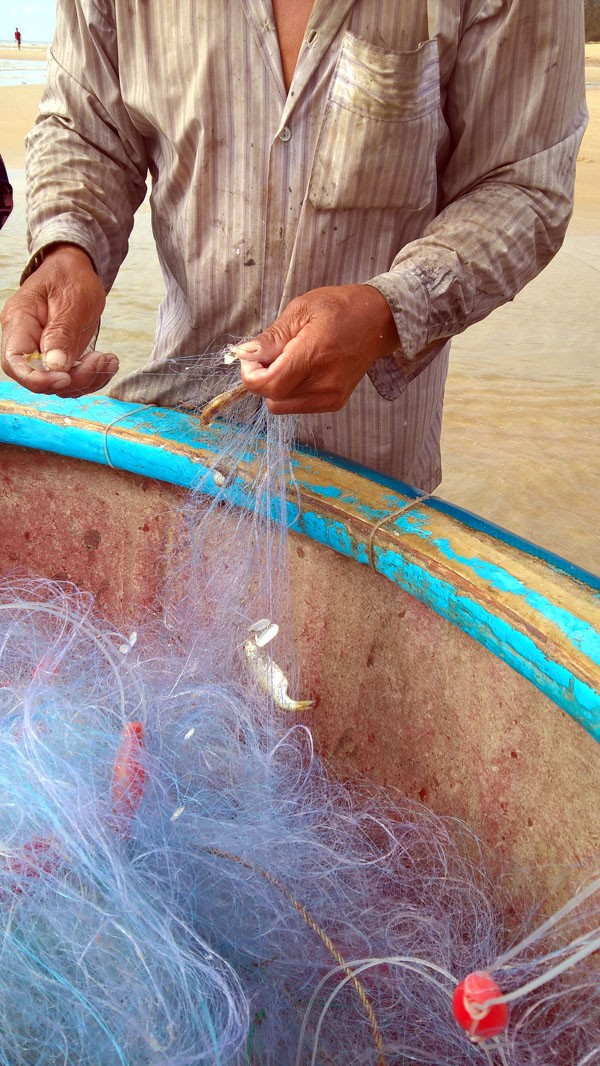Ngư dân Vũng Tàu trúng đậm 'lộc biển' đầu năm - ảnh 2