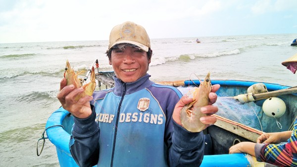 Ngư dân Vũng Tàu trúng đậm 'lộc biển' đầu năm - ảnh 4