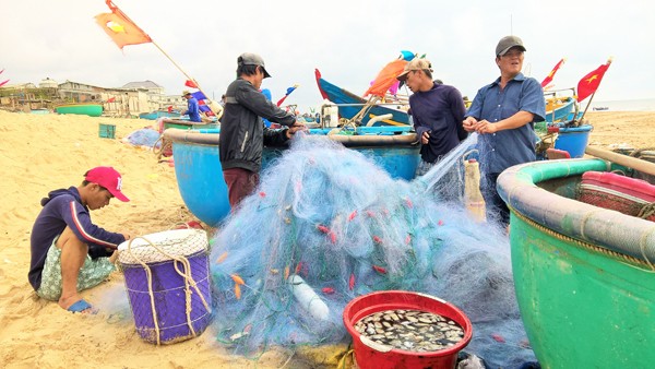 Ngư dân Vũng Tàu trúng đậm 'lộc biển' đầu năm - ảnh 11