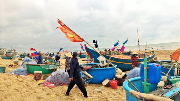Ngư dân Vũng Tàu trúng đậm 'lộc biển' đầu năm - ảnh 12