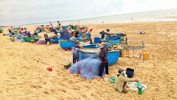 Ngư dân Vũng Tàu trúng đậm 'lộc biển' đầu năm - ảnh 13